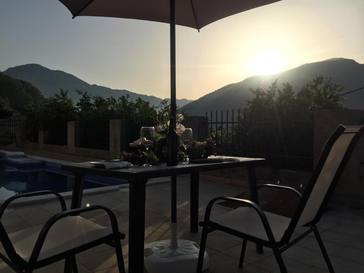 Kamenari New Summer Holiday Luaran gambar