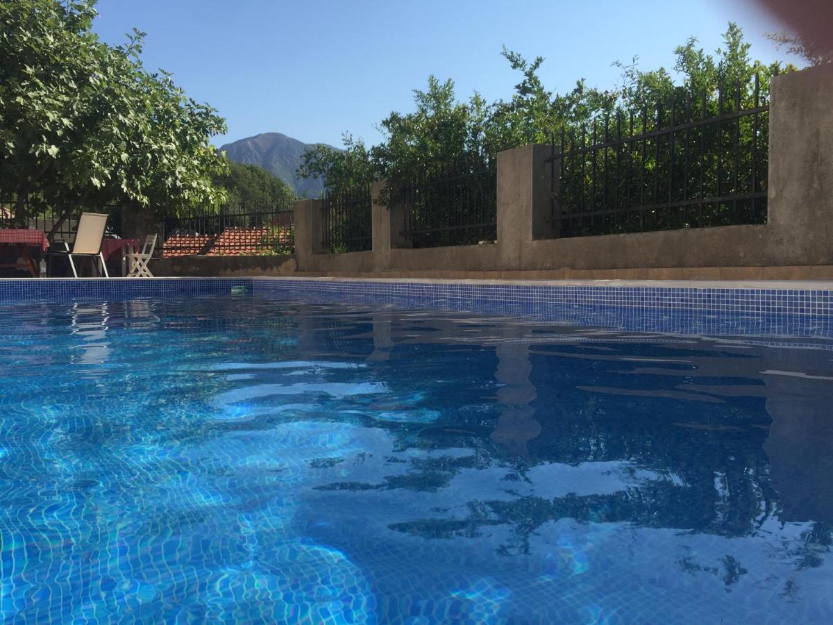 Kamenari New Summer Holiday Luaran gambar