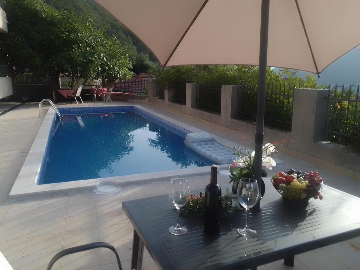 Kamenari New Summer Holiday Luaran gambar